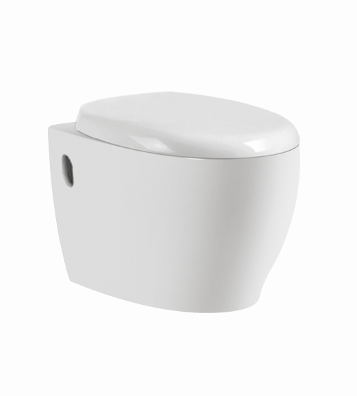 Ceramic WC toilet set 4027