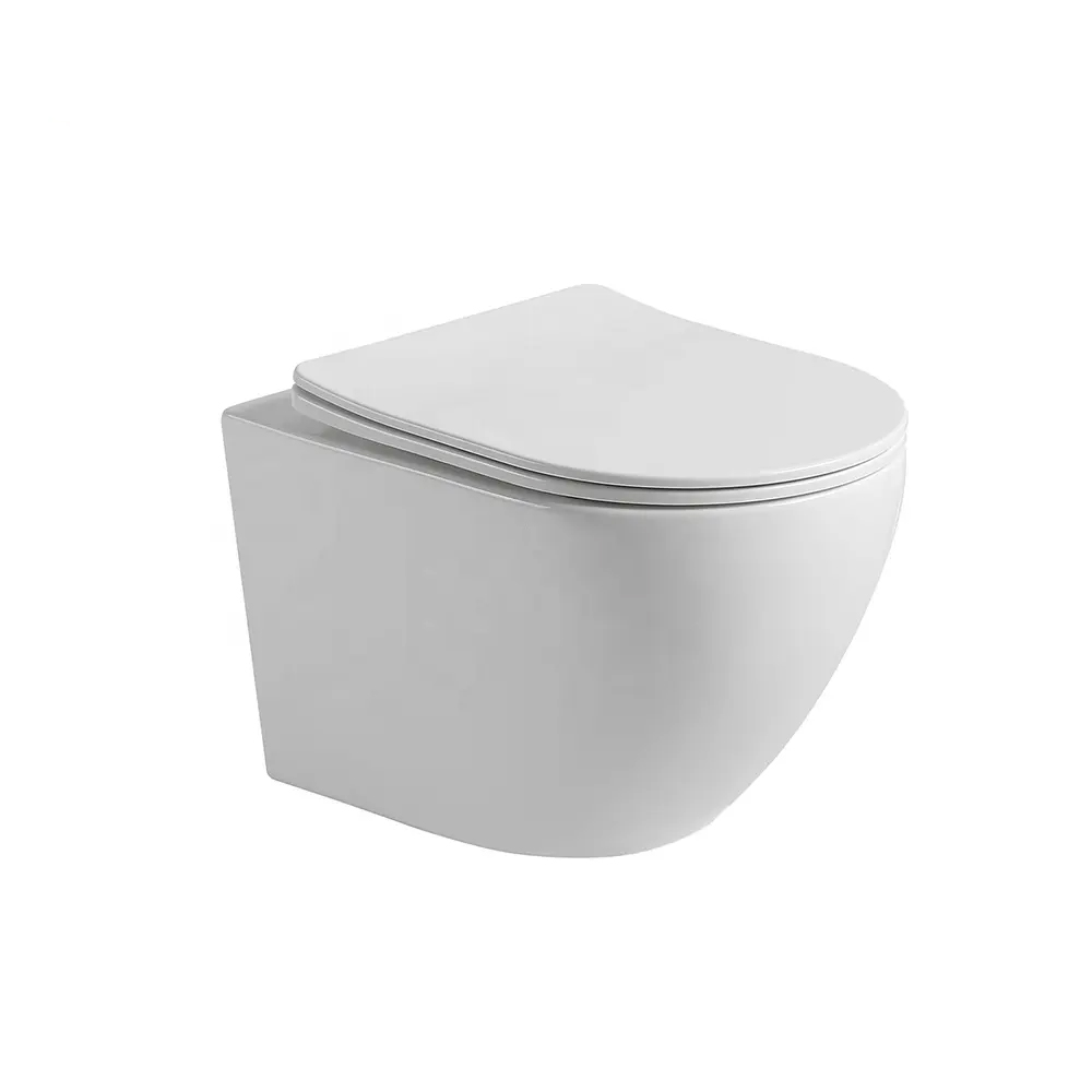 wall hung toilet with soft seat 4852